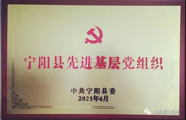 热烈祝贺公司党支部被评为“宁阳县先进基层党组织”